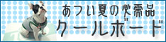 クールボード