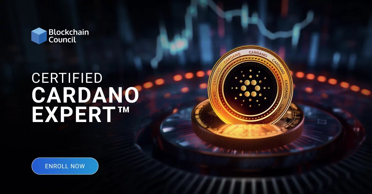 Certified Cardano Expert