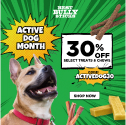 Best Bully Sticks