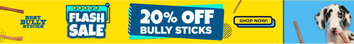 Best Bully Sticks