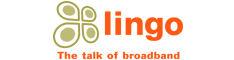 lingo